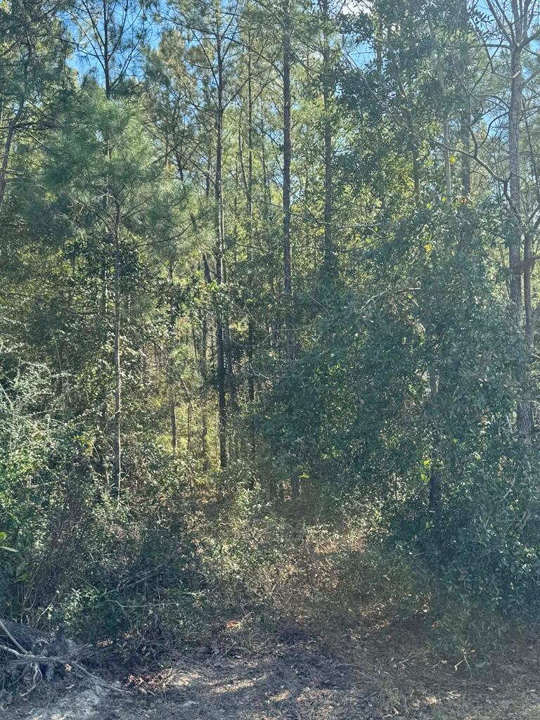 329678 Photo 1