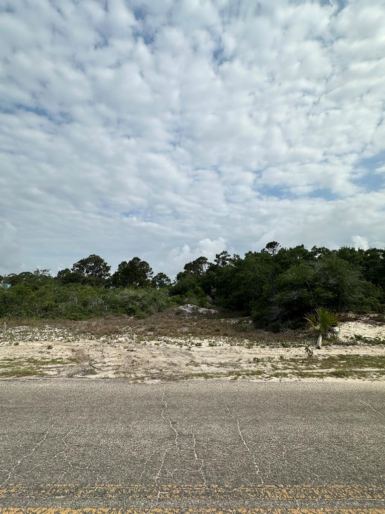 322029 Photo 2