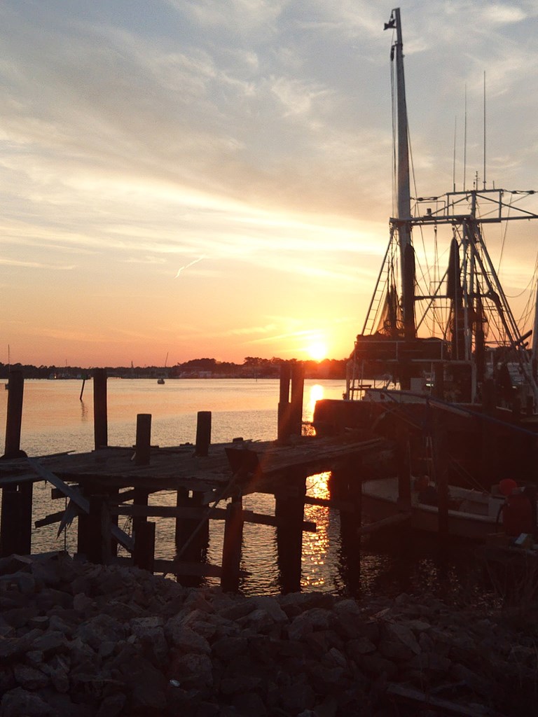 328540 Photo 2