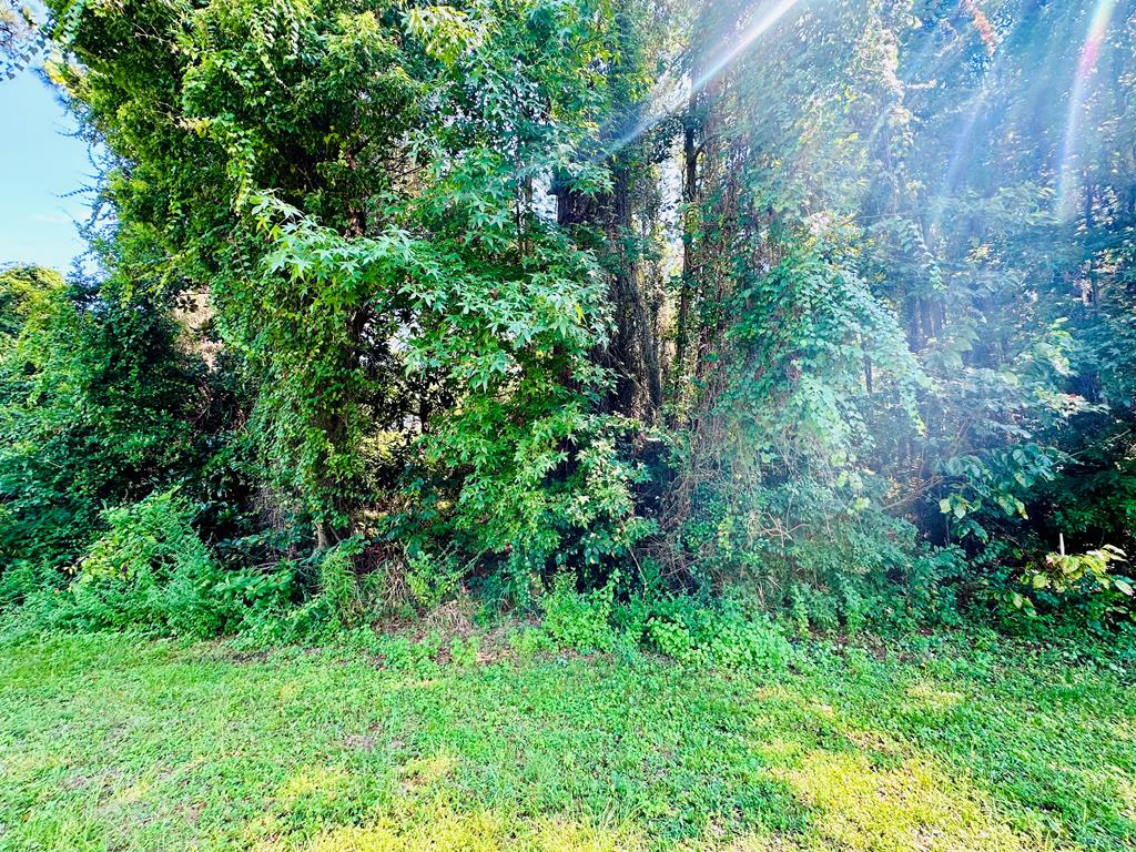 329053 Photo 3