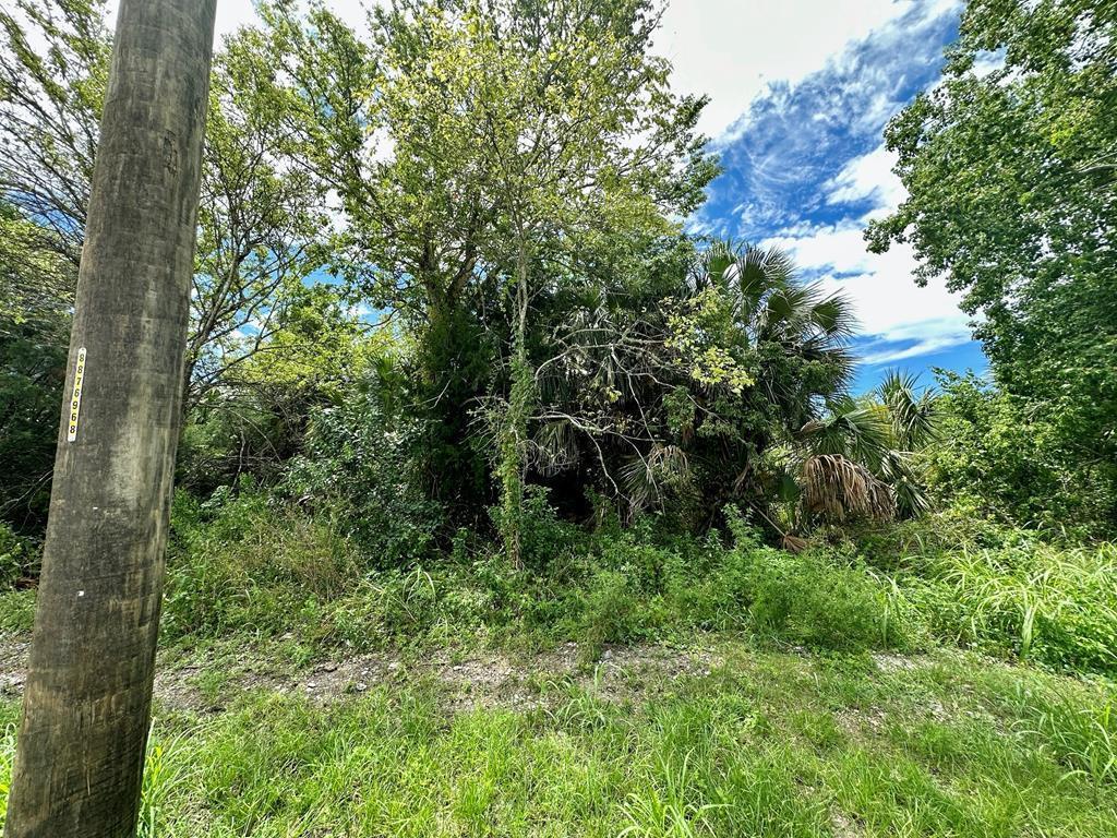 329054 Photo 2