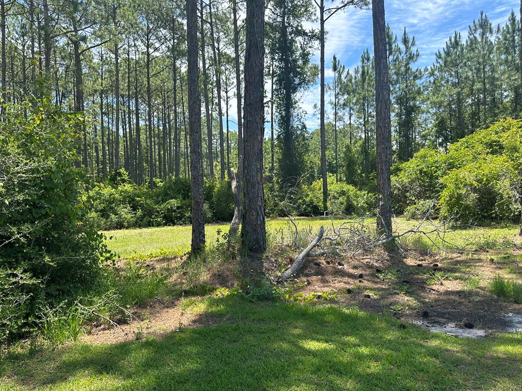 317714 Photo 1