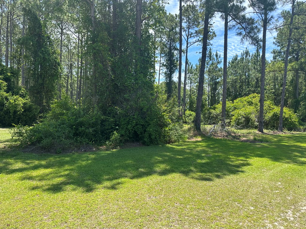 317714 Photo 2