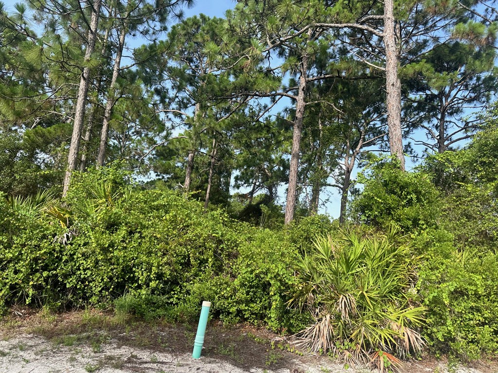 318116 Photo 3