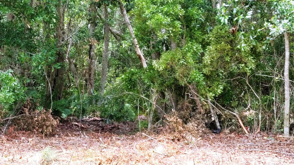 318645 Photo 2