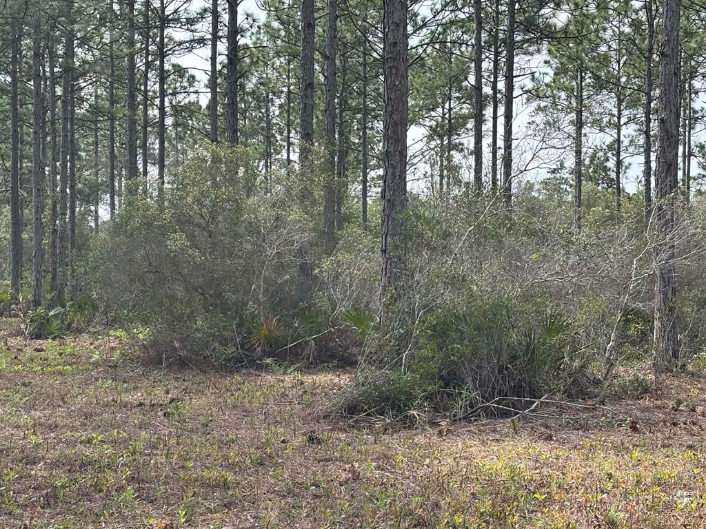 319922 Photo 2