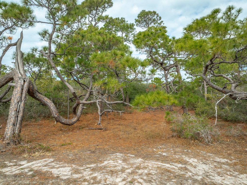 320284 Photo 2
