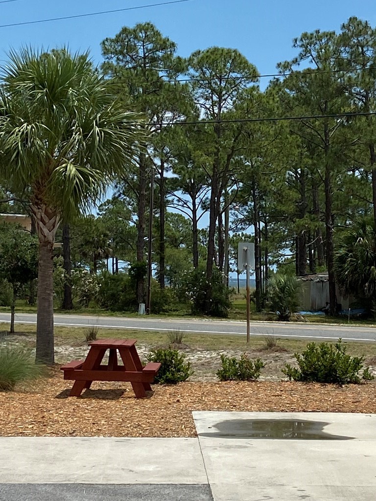 320630 Photo 3