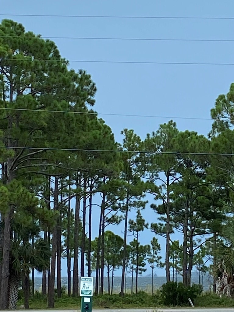320632 Photo 3