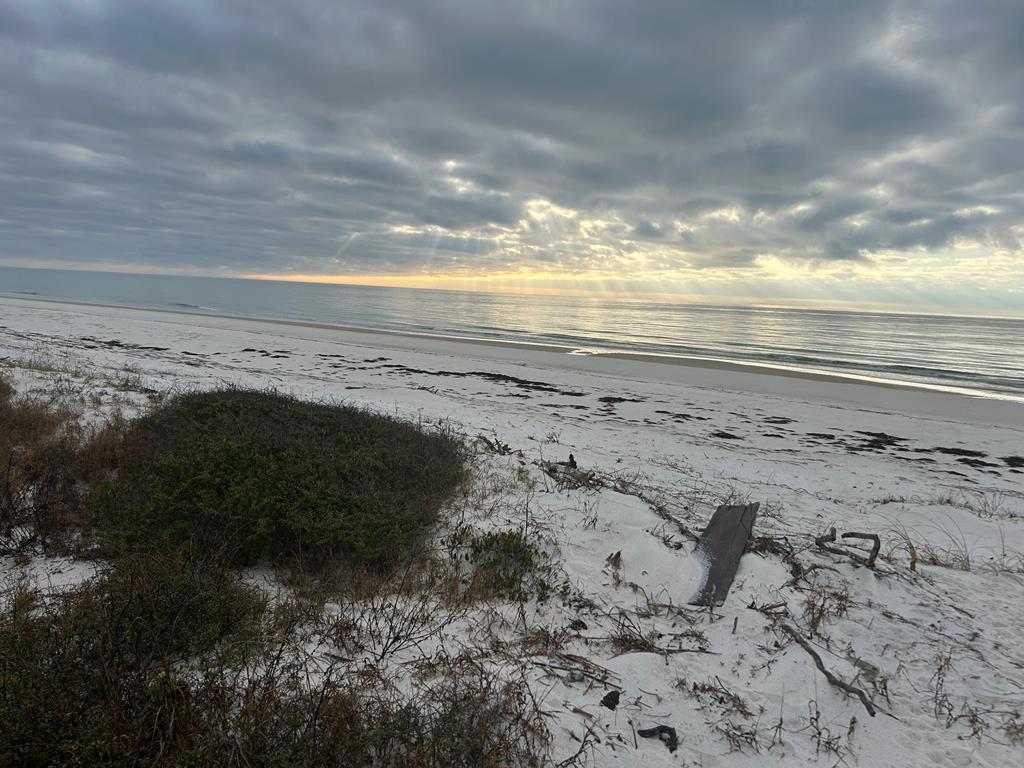 320860 Photo 2