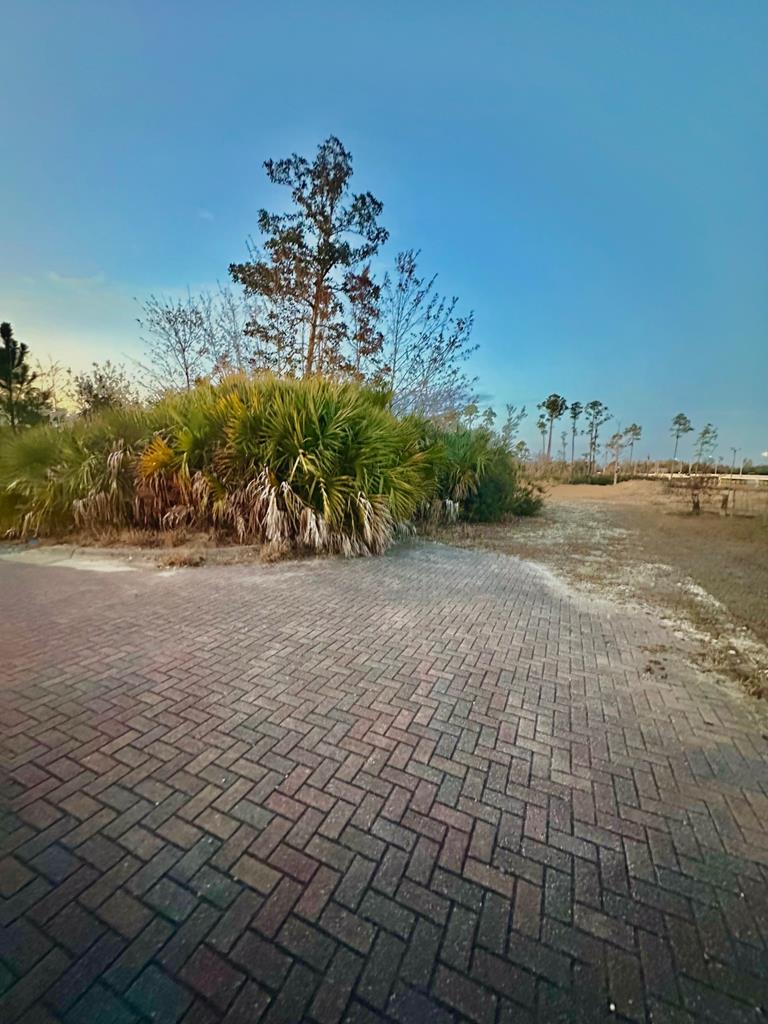 321003 Photo 2