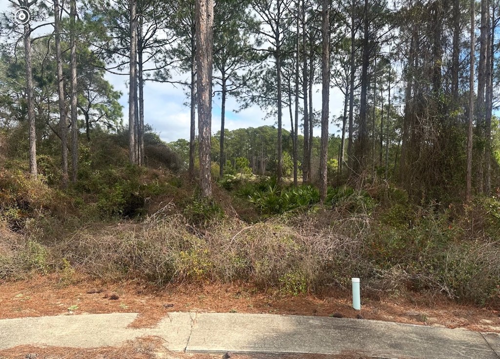 321202 Photo 2