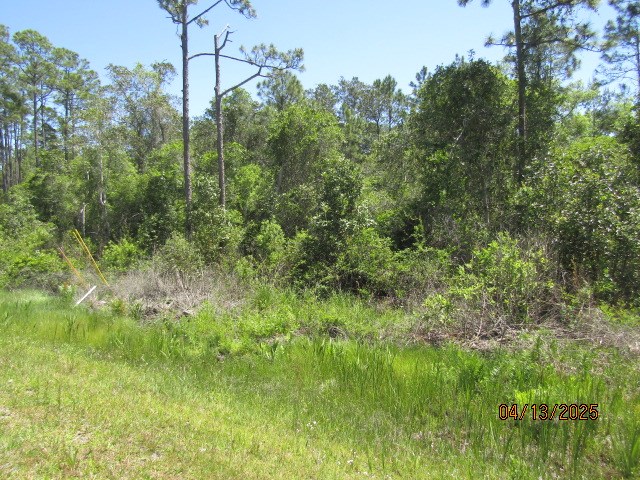 321691 Photo 2