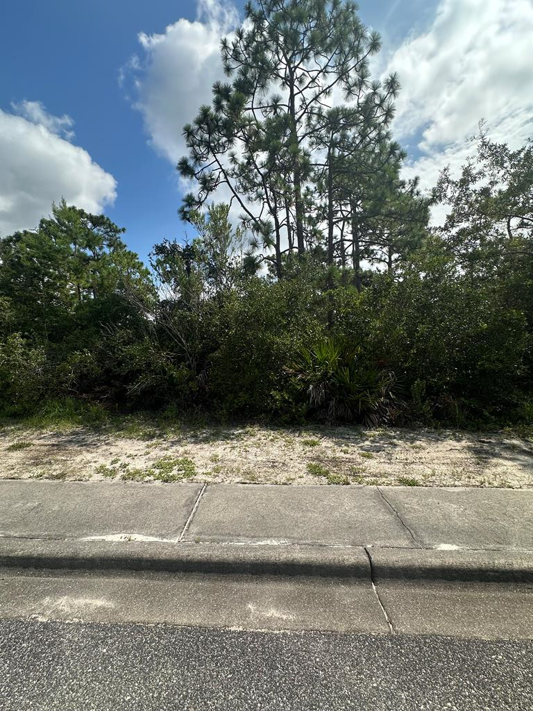 322729 Photo 1