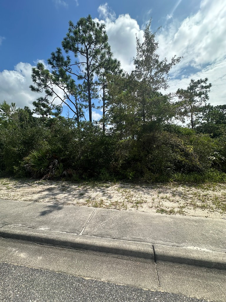 322729 Photo 2