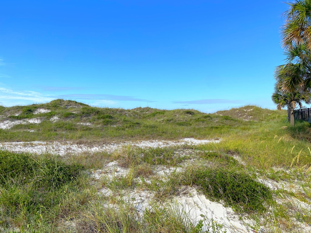 324034 Photo 2