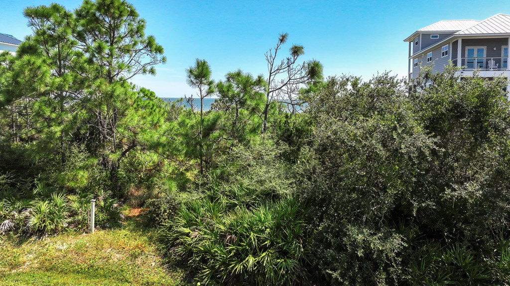 324058 Photo 2