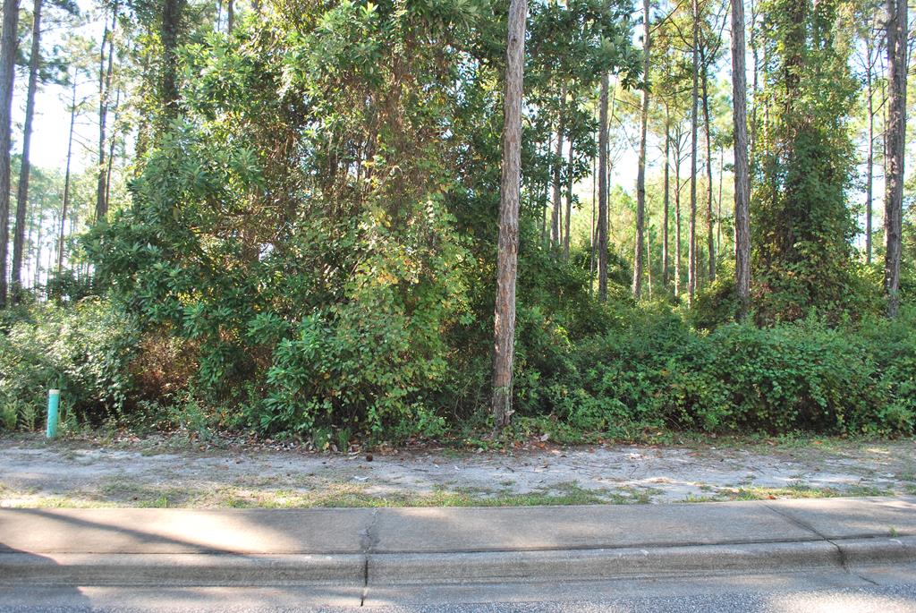 324071 Photo 2