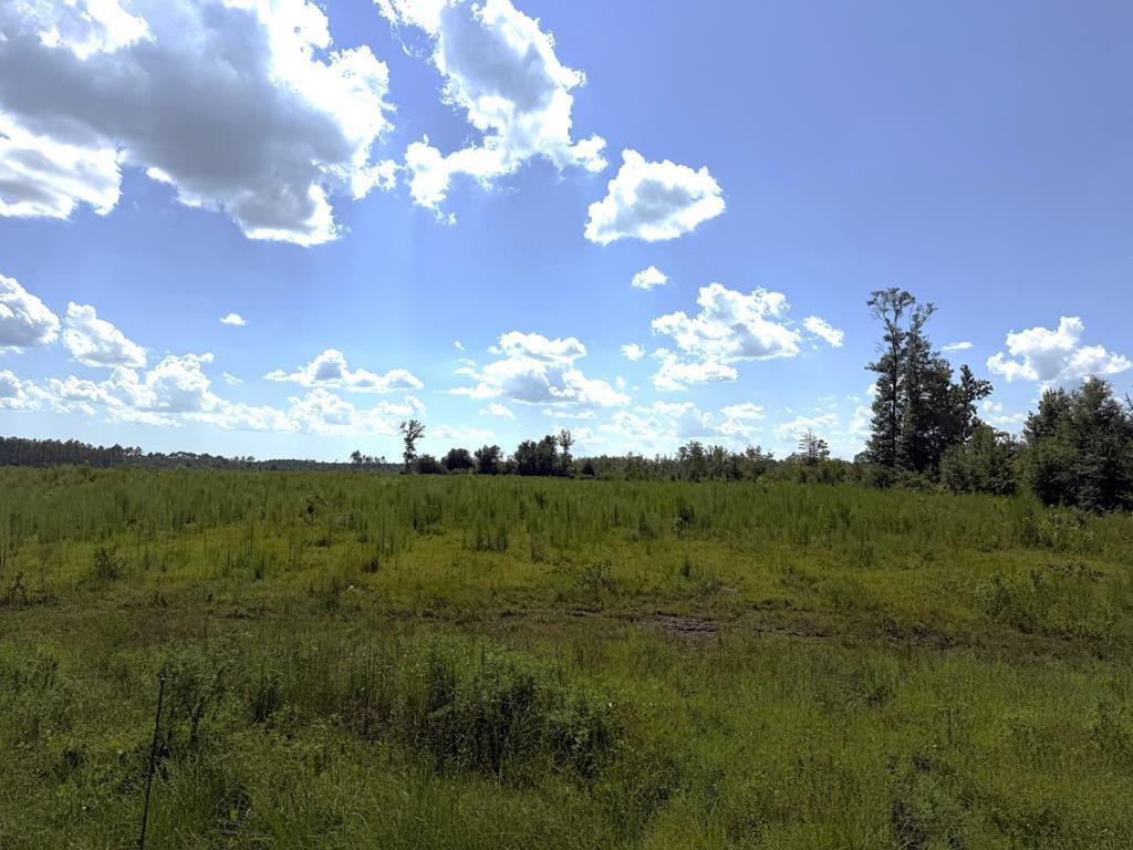 324084 Photo 2