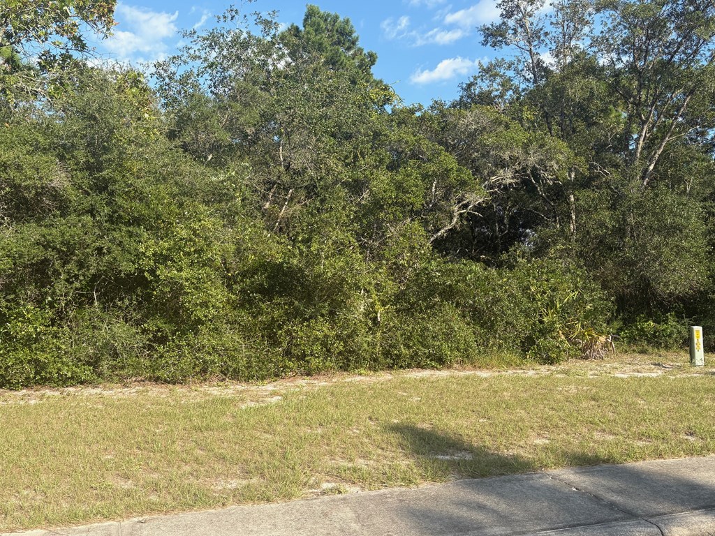 324112 Photo 2