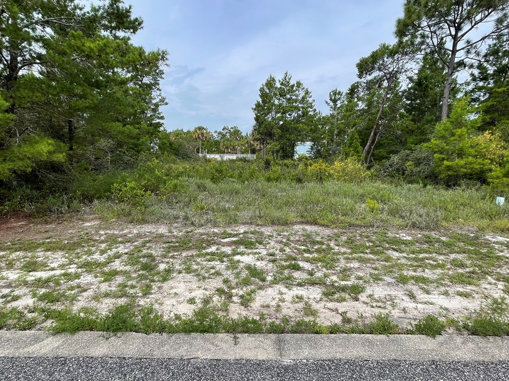 324178 Photo 2