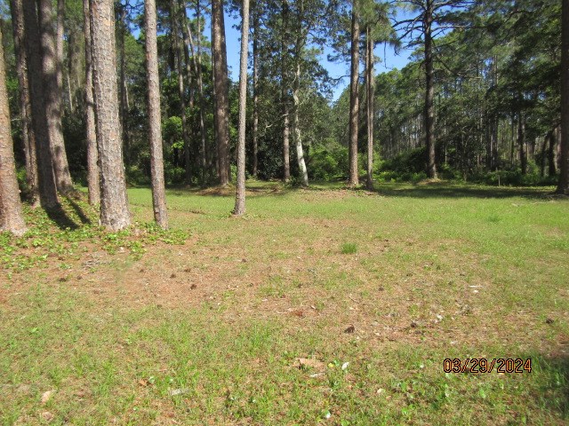 324203 Photo 2