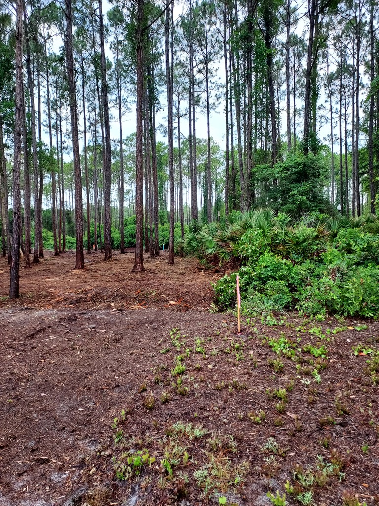 324229 Photo 2