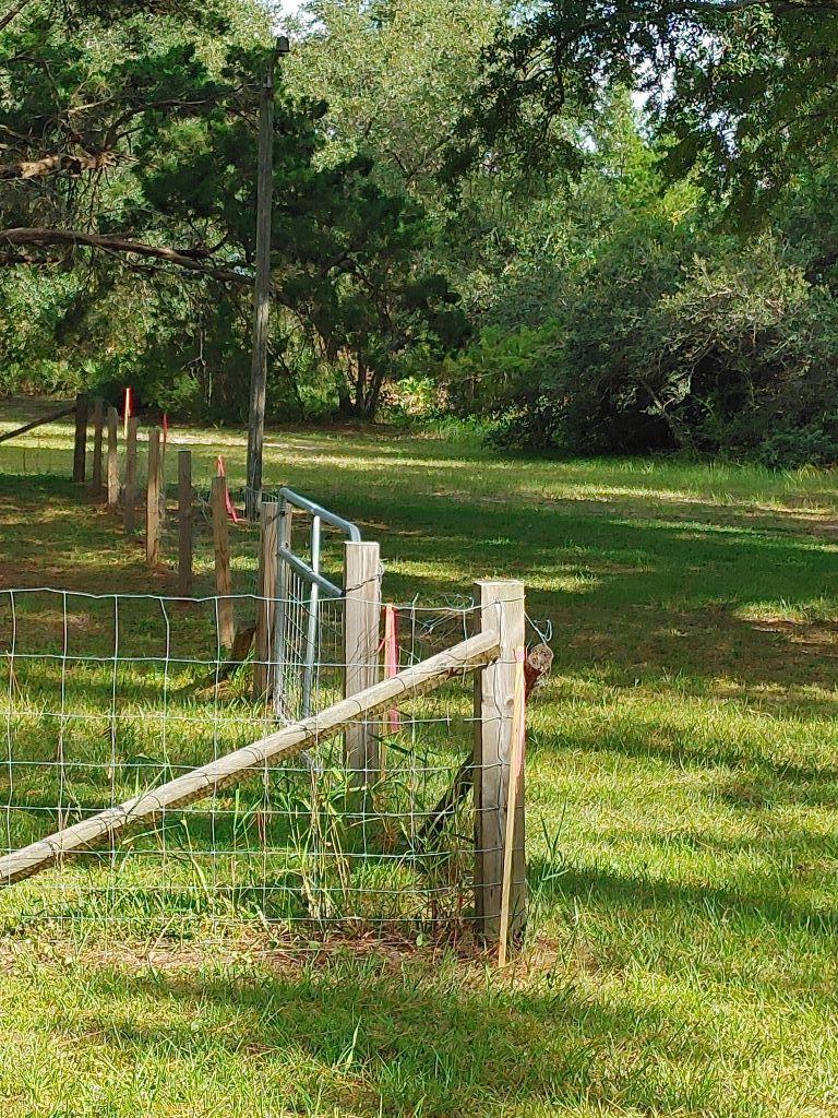 324405 Photo 3