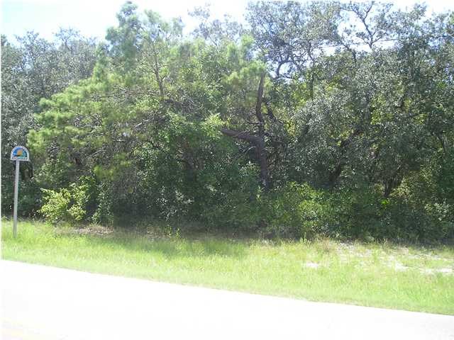 324441 Photo 2