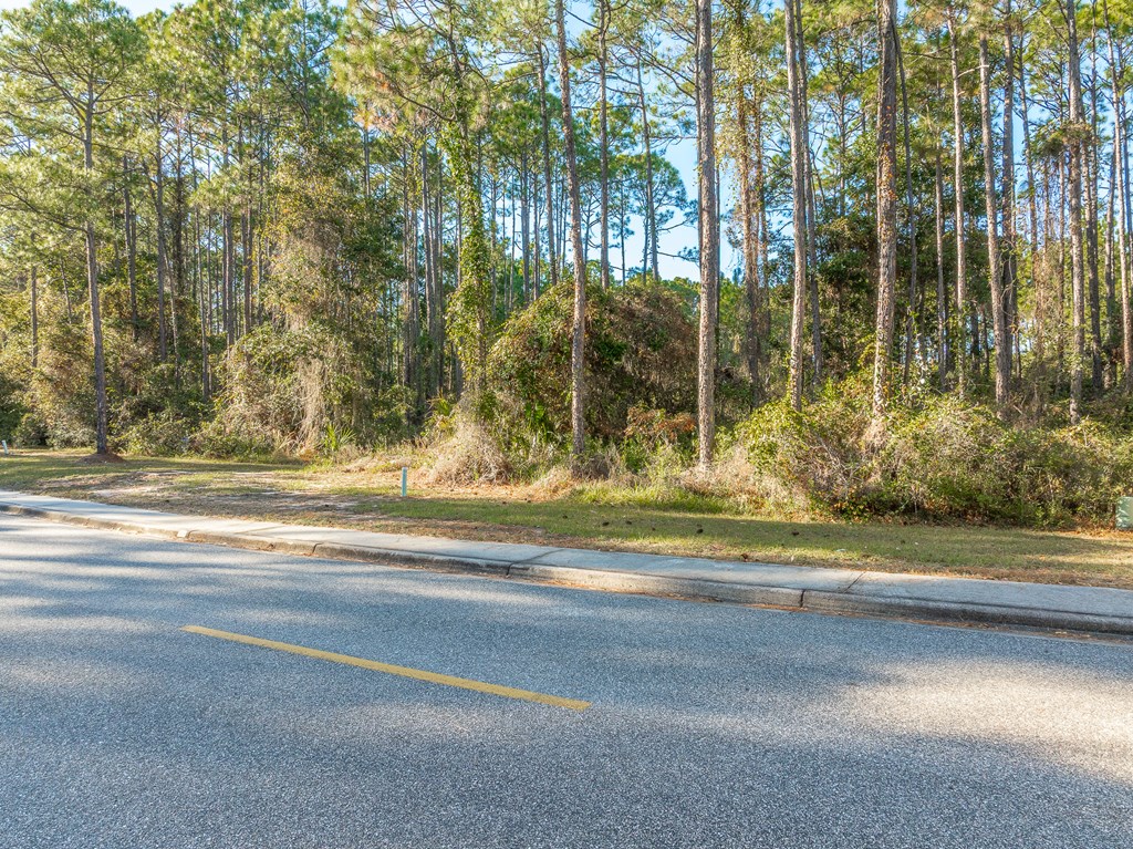324552 Photo 2