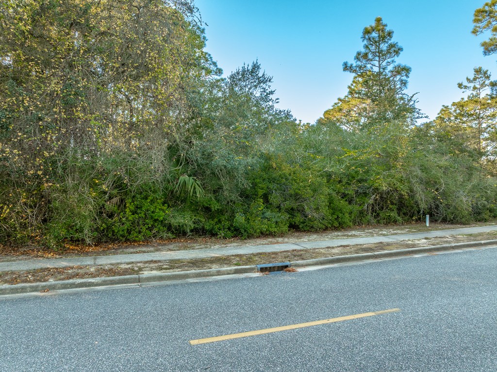 324553 Photo 2
