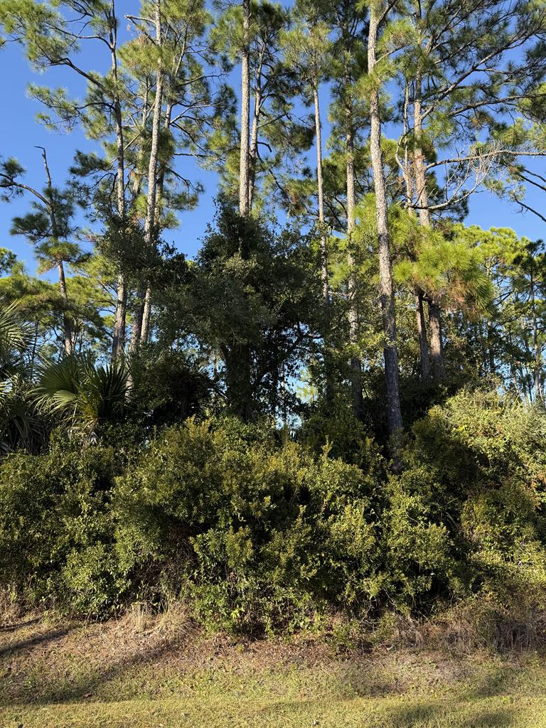 324572 Photo 1