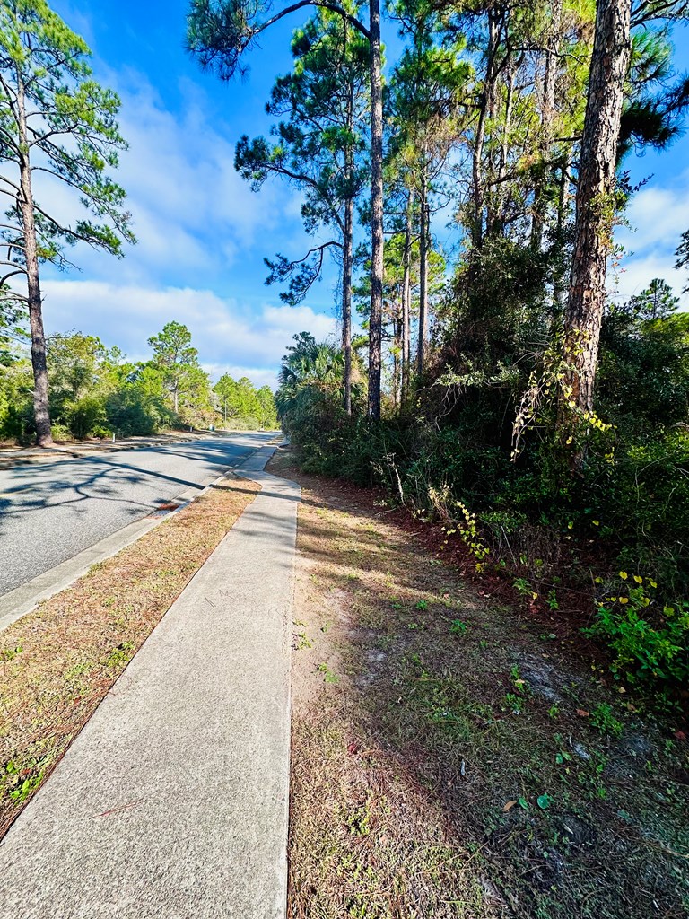324672 Photo 2