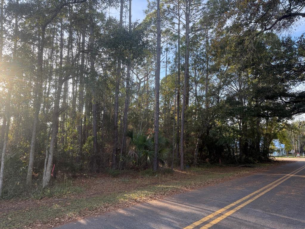 324673 Photo 1
