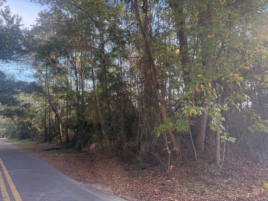 324673 Photo 2