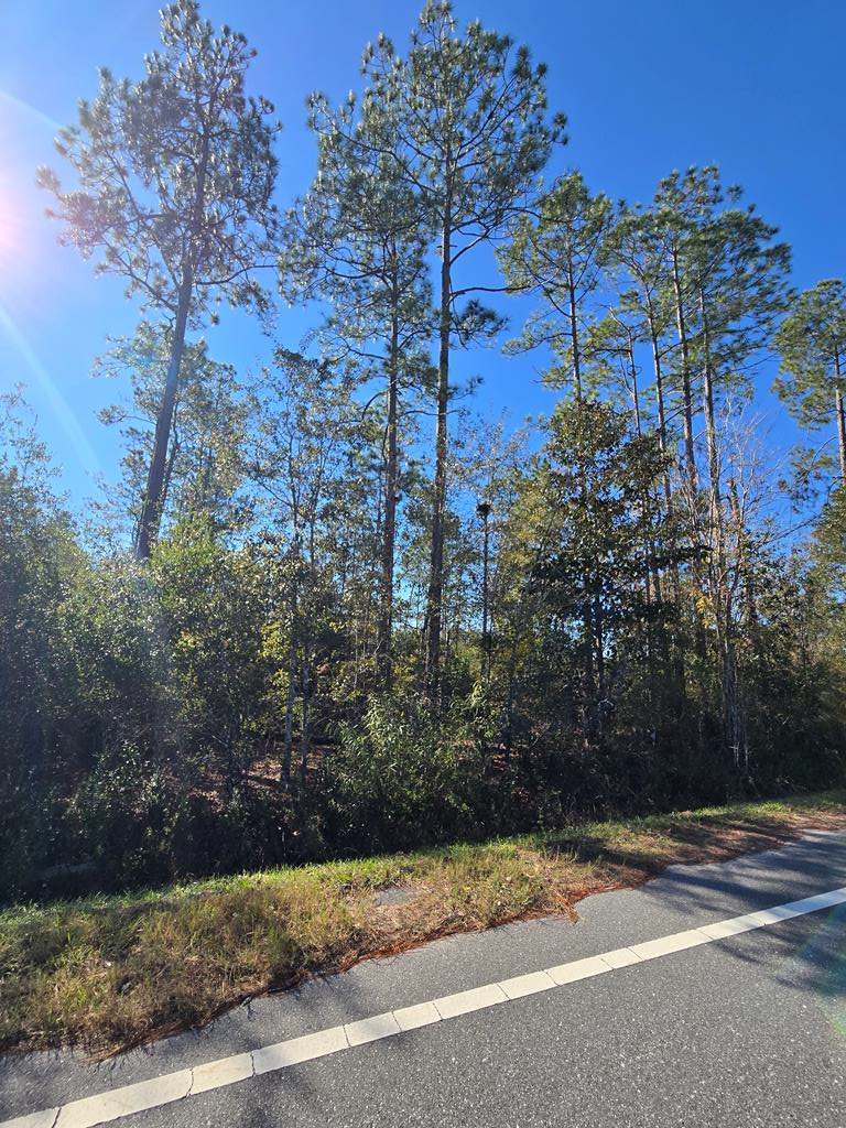 324733 Photo 1