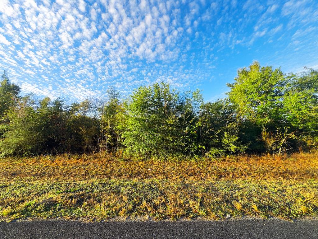 324779 Photo 1