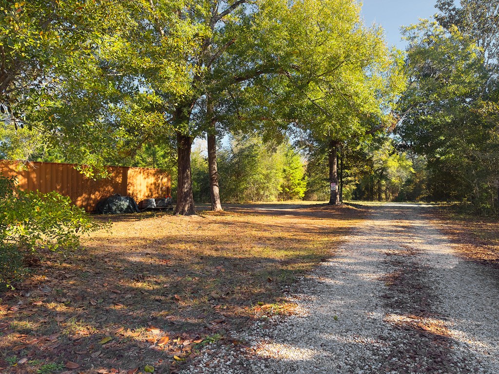 324809 Photo 2