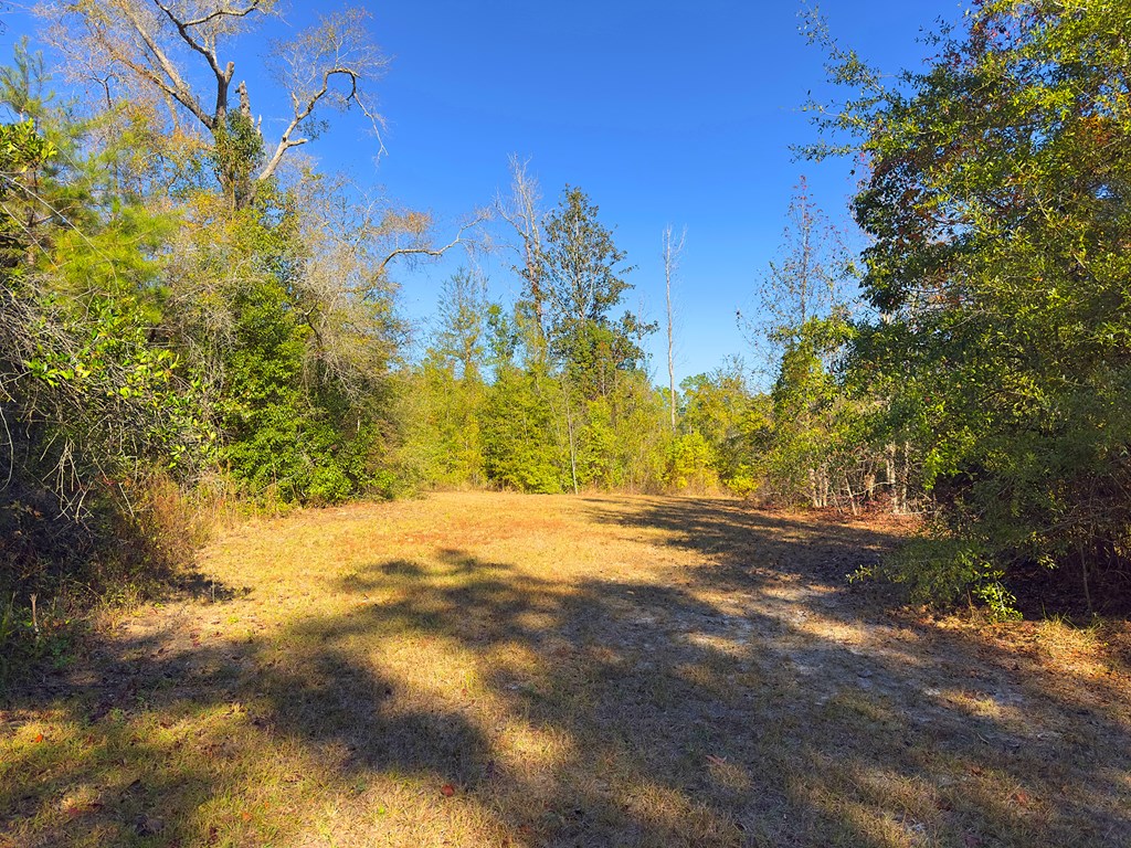 324809 Photo 3