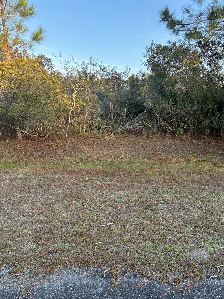324903 Photo 2