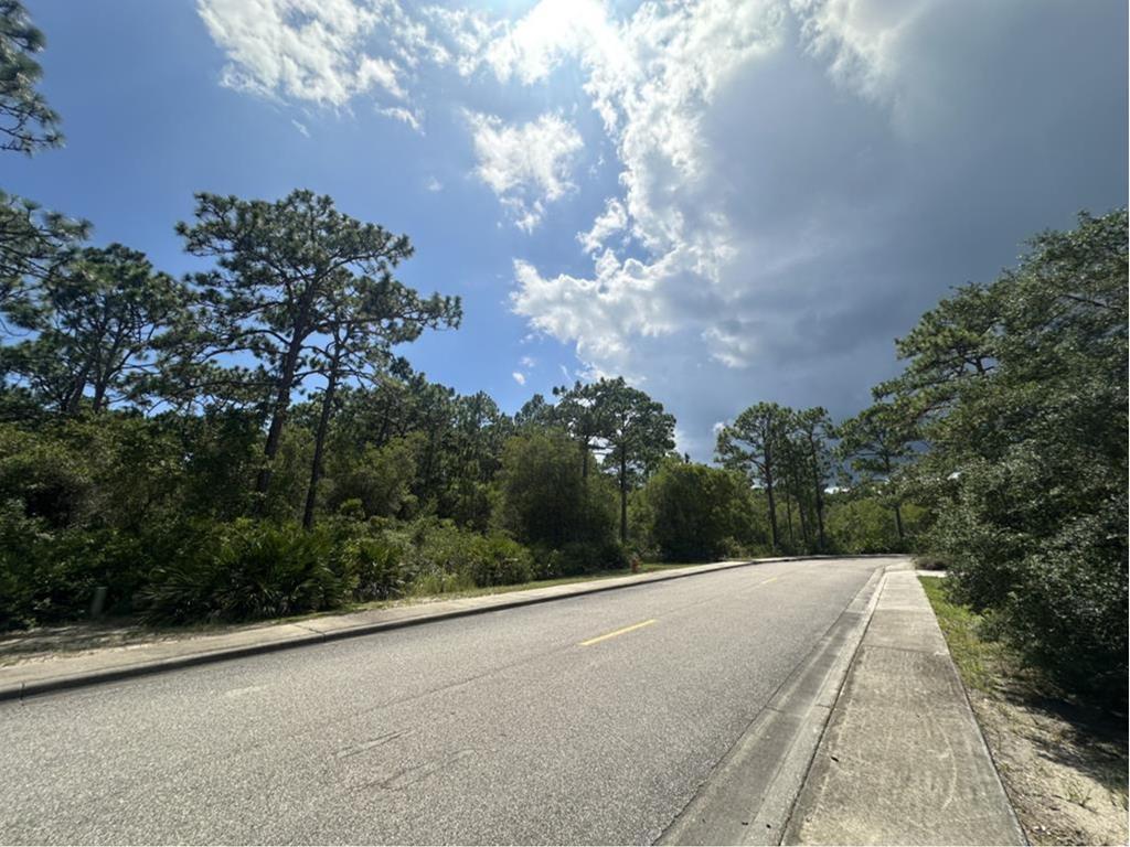 324917 Photo 3