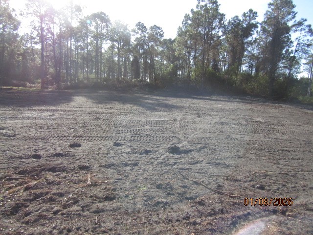 324951 Photo 2