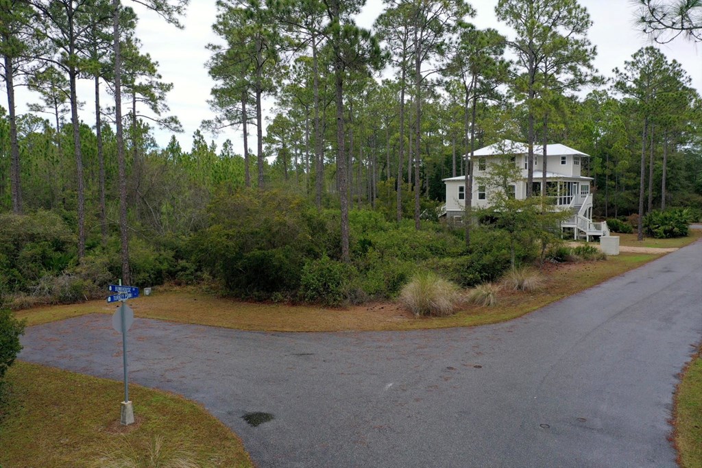 325055 Photo 2