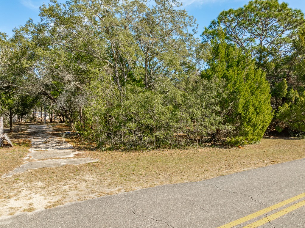 325095 Photo 2