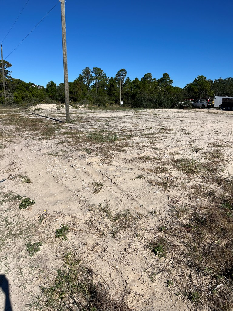 325151 Photo 2