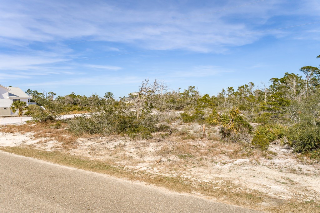 325247 Photo 2