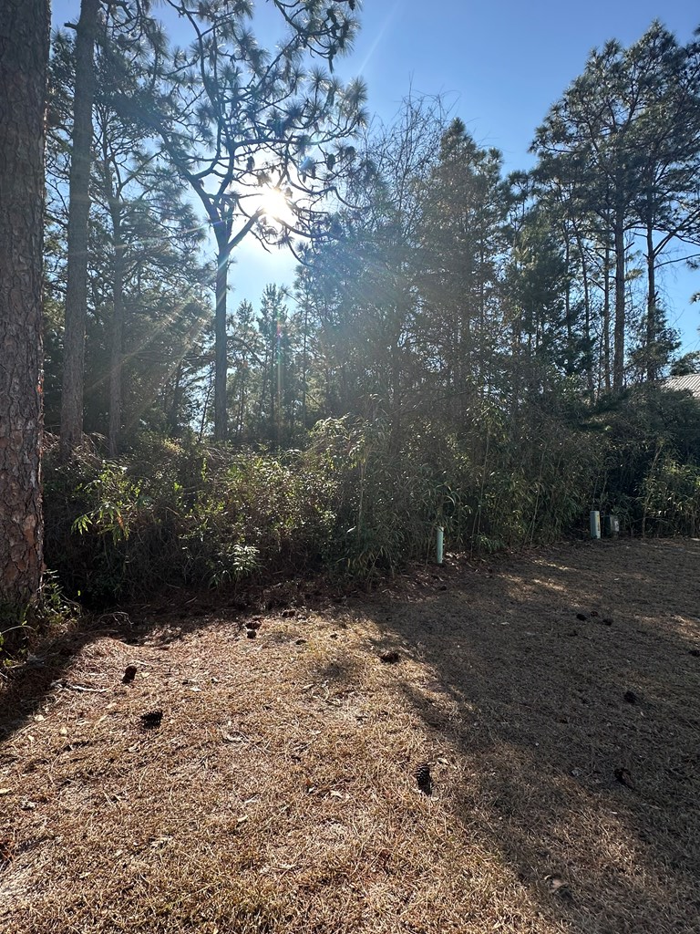 326321 Photo 2