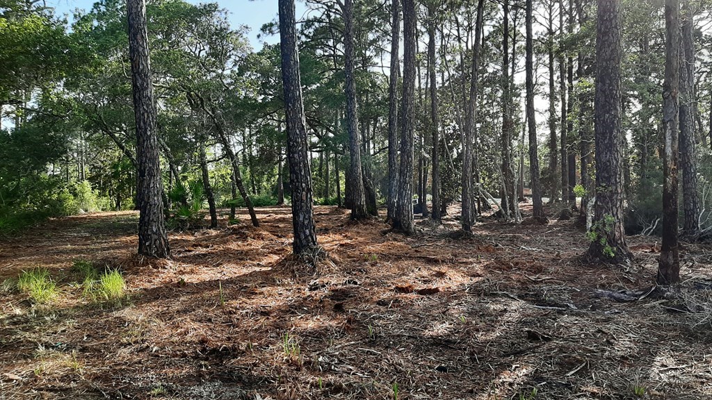 326375 Photo 2