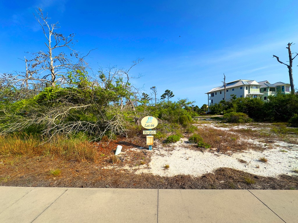 326452 Photo 2