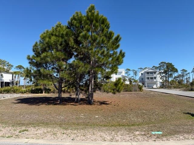 326613 Photo 2